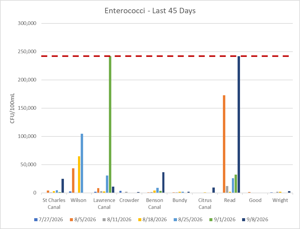 Bar chart titled Enterococci - Last 45 Days, showing Enterococci levels at each Dwyer Canal sampling location across seven sampling dates from June 30 through August 11, 2026, with a dashed line marking the maximum testing value.
